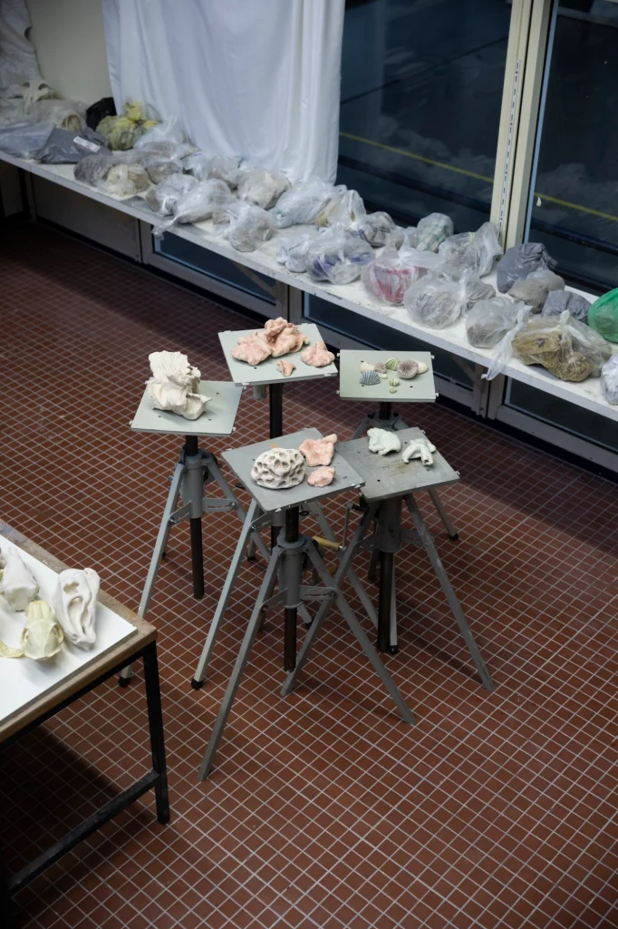 Nora Mertes - artist