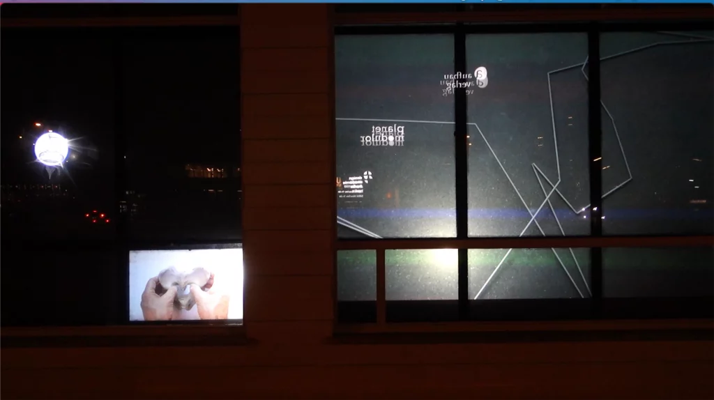 Nora Mertes, cooperations, flip flop