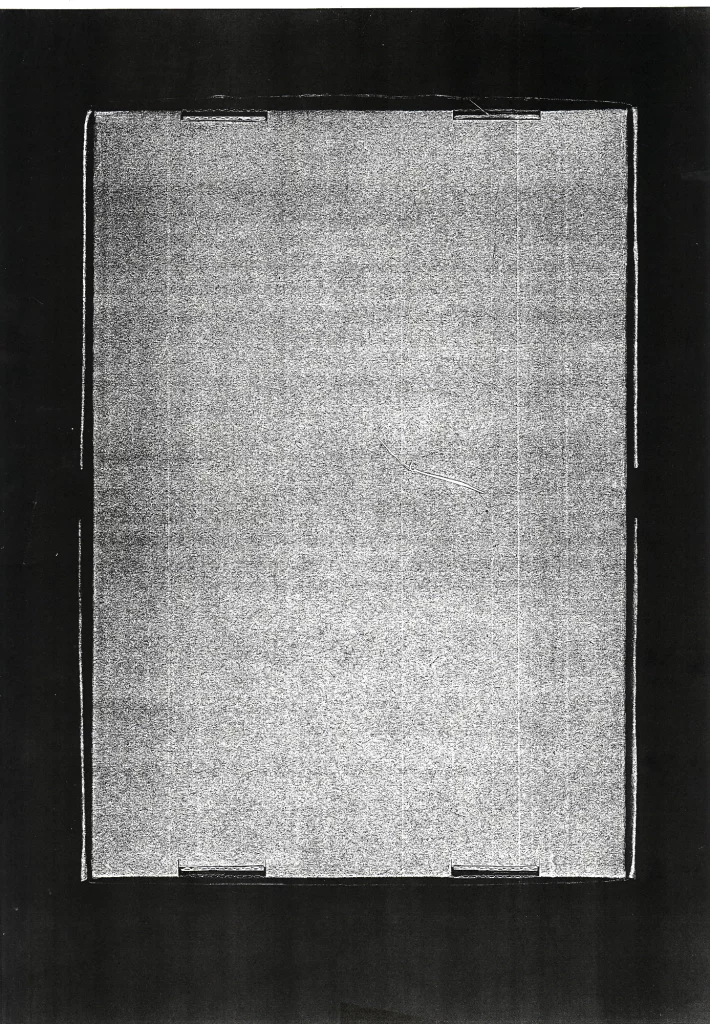 Nora Mertes, cooperations, after art and language