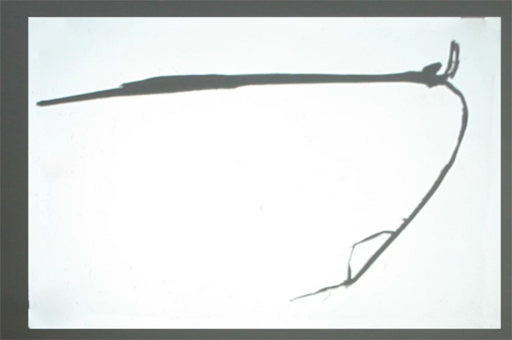 Nora Mertes, cooperations, after art and language