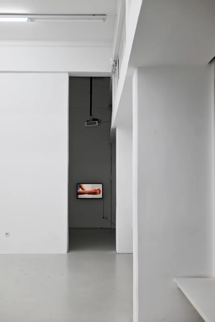 Nora Mertes, cooperations, alongside you