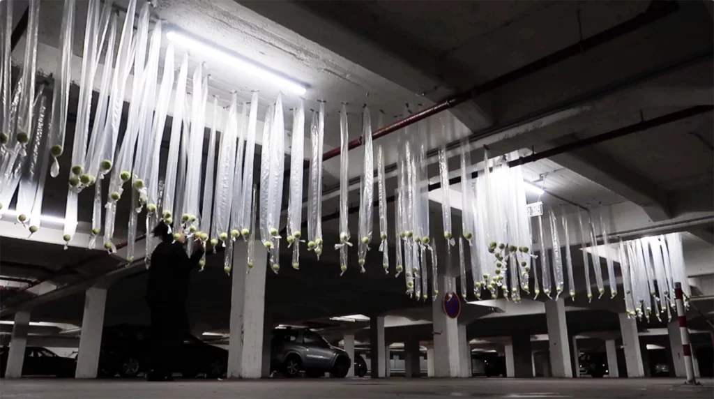 Nora Mertes, teaching, Fluide Form