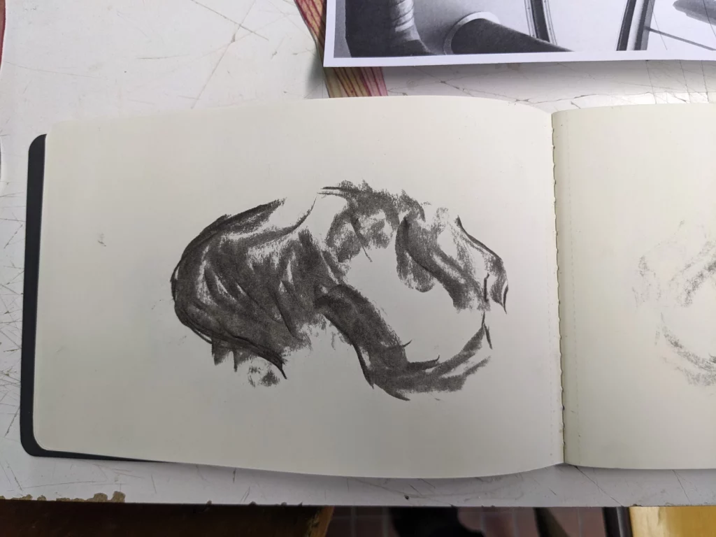 Nora Mertes, teaching, Tierschädel