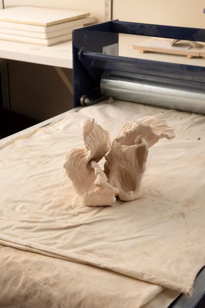 Nora Mertes, teaching, Wildwuchs