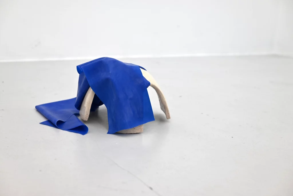 Nora Mertes, works, Chatty Matter II