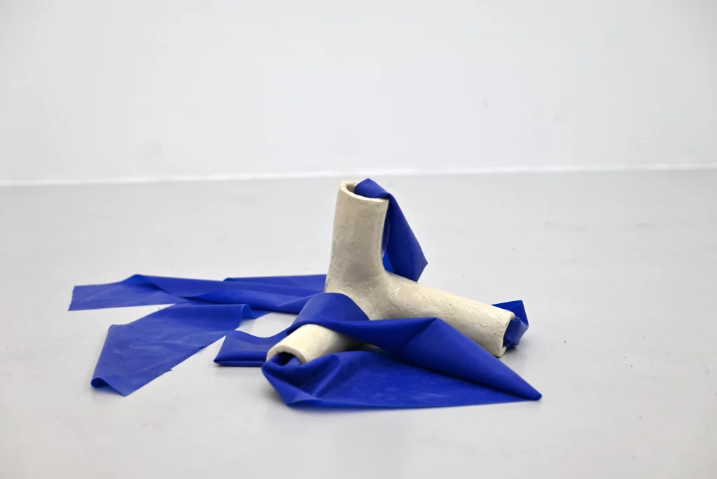 Nora Mertes, works, Chatty Matter II