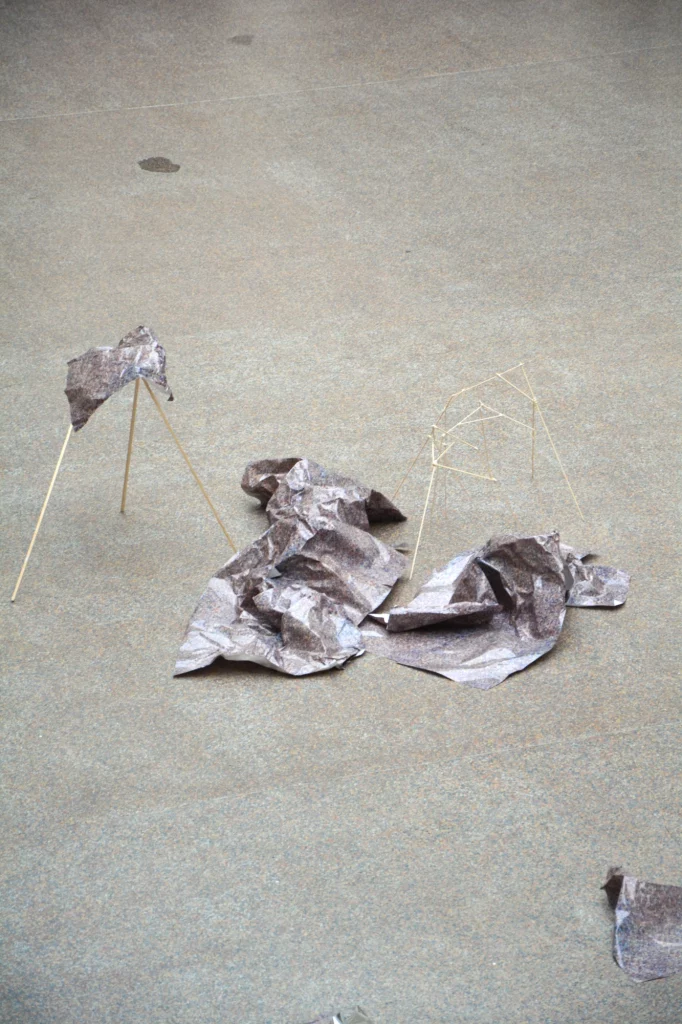 Nora Mertes, works, From Above and Below